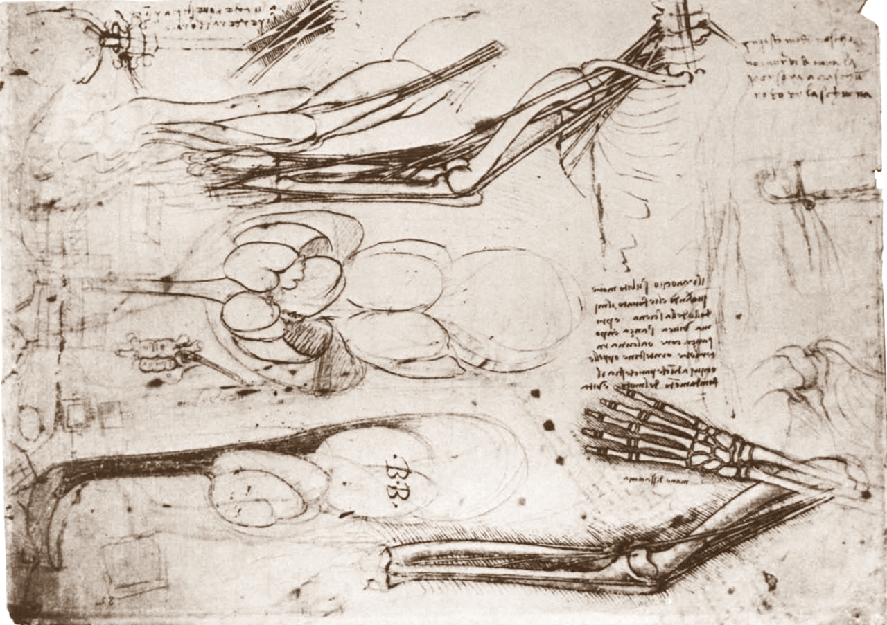 Leonardo+da+Vinci-1452-1519 (750).jpg